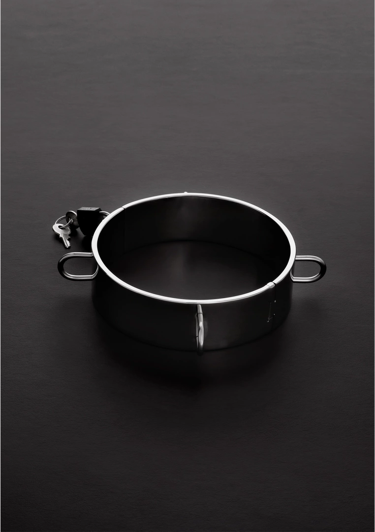 Collar for the Dungeon - Image 3