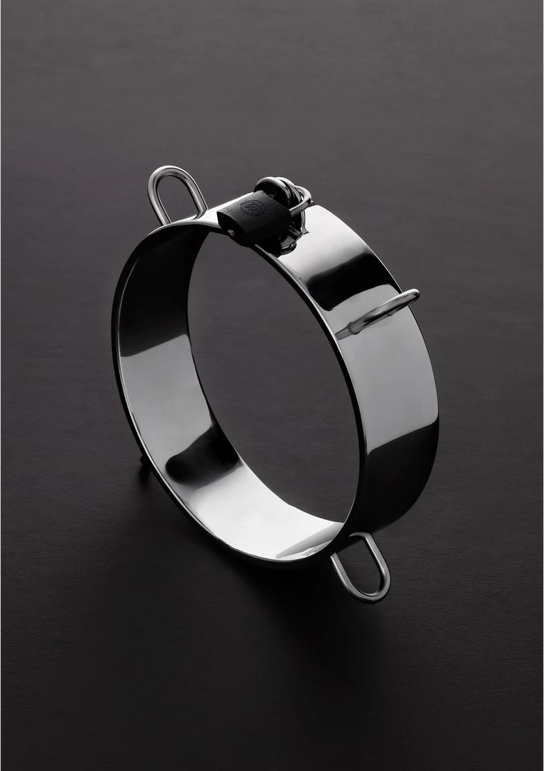 Collar for the Dungeon - Image 5